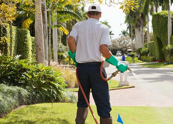 About Blue Point NY Pest Control Pros